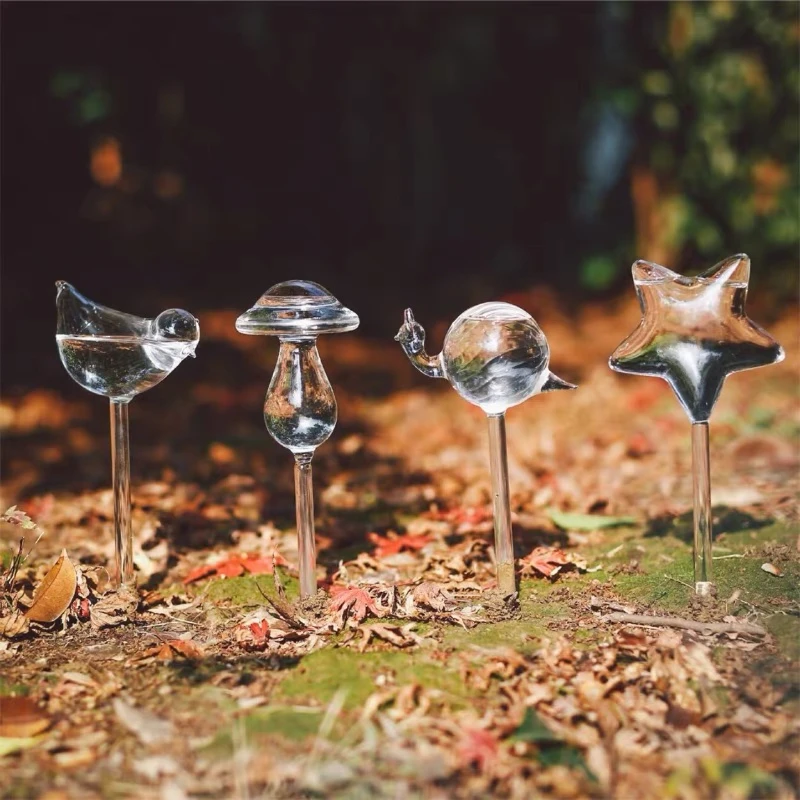 Creative Glass Plant Flowers W - Self Watering Insert のレビューと価格