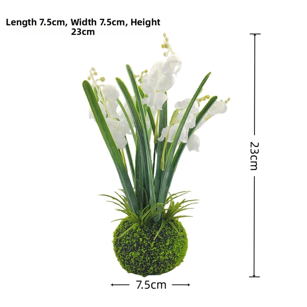 Compact Handcrafted Moss Ball  - Sphagnum Moss Dry のレビューと価格