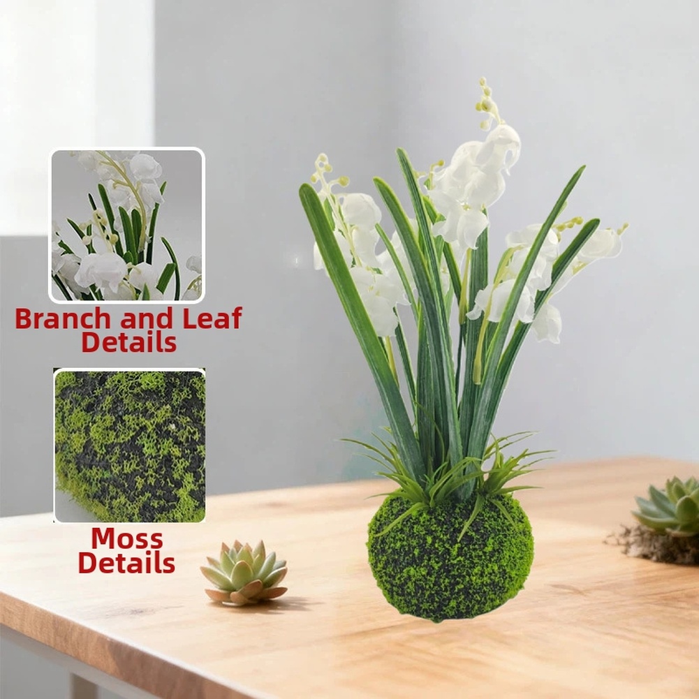 Compact Handcrafted Moss Ball  - Sphagnum Moss Dry のレビューと価格