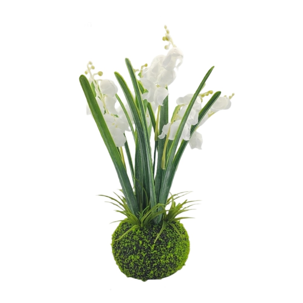Compact Handcrafted Moss Ball  - Sphagnum Moss Dry のレビューと価格
