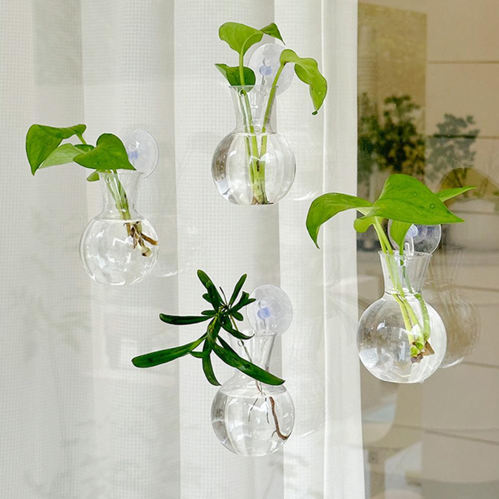 1/2/3/4/6/8Pcs Plant Propagati - Propagation Station Vase のレビューと価格