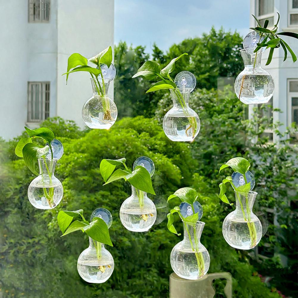1/2/3/4/6/8Pcs Plant Propagati - Propagation Station Vase のレビューと価格