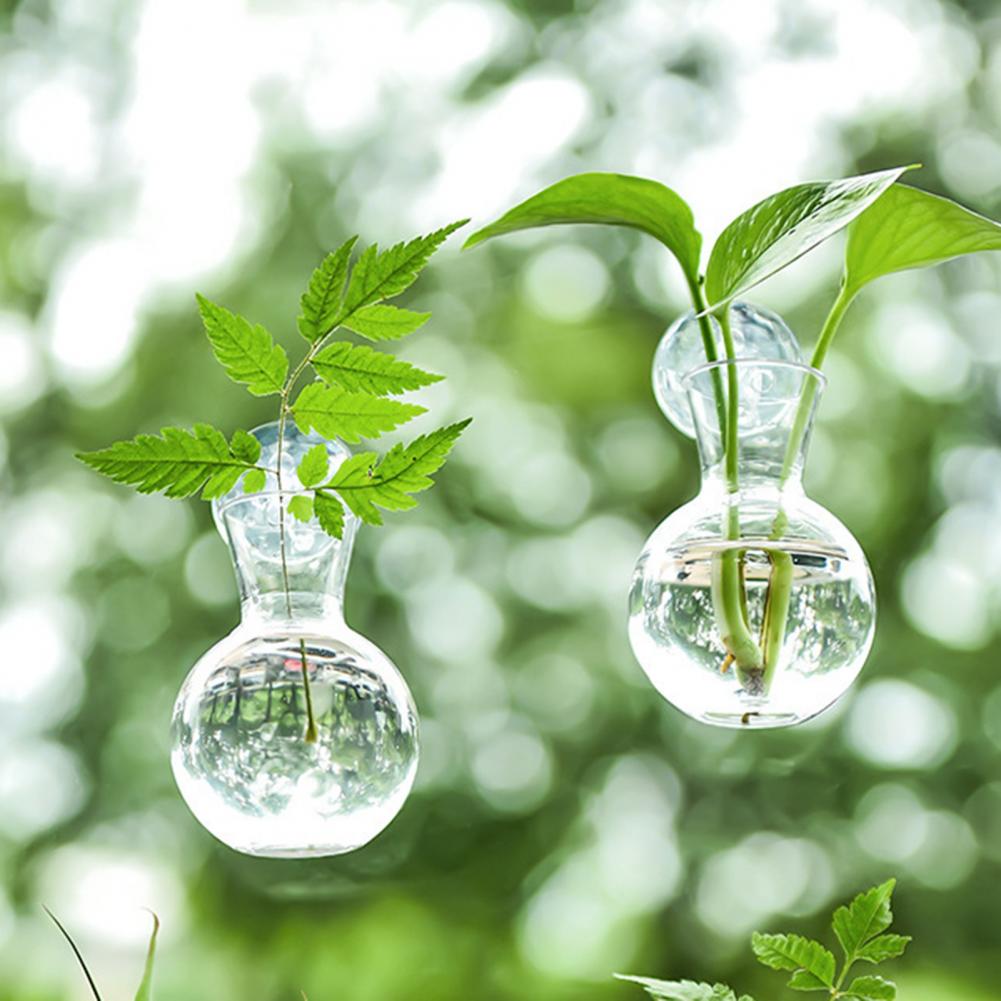 1/2/3/4/6/8Pcs Plant Propagati - Propagation Station Vase のレビューと価格