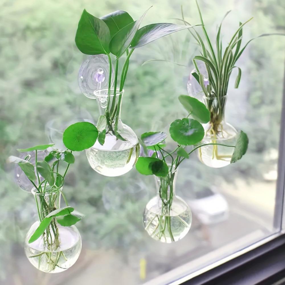 1/2/3/4/6/8Pcs Plant Propagati - Propagation Station Vase のレビューと価格