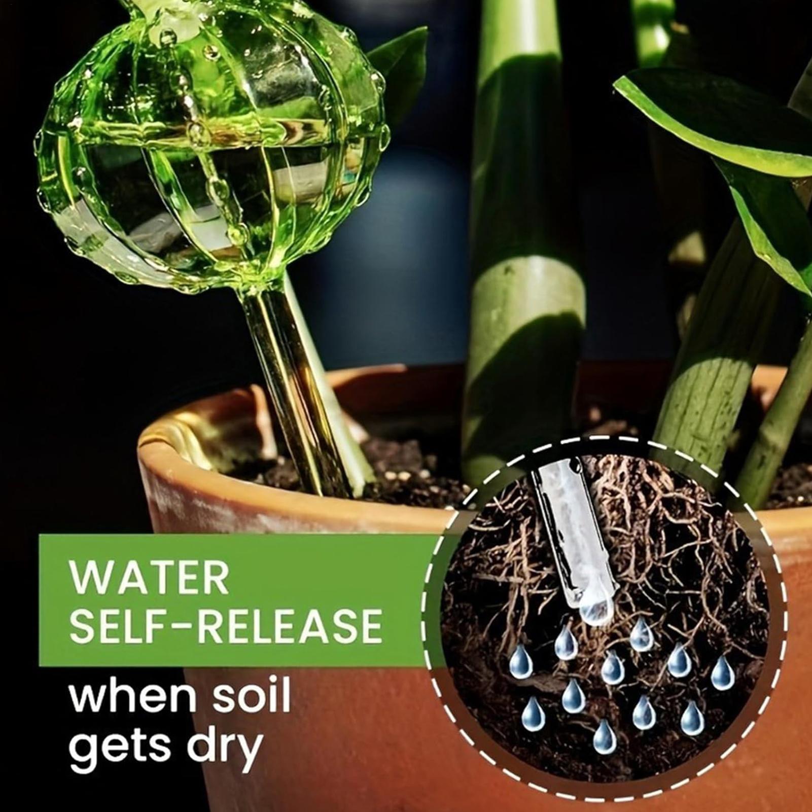 Plant Watering Stakes 3 Pieces - Self Watering Insert のレビューと価格