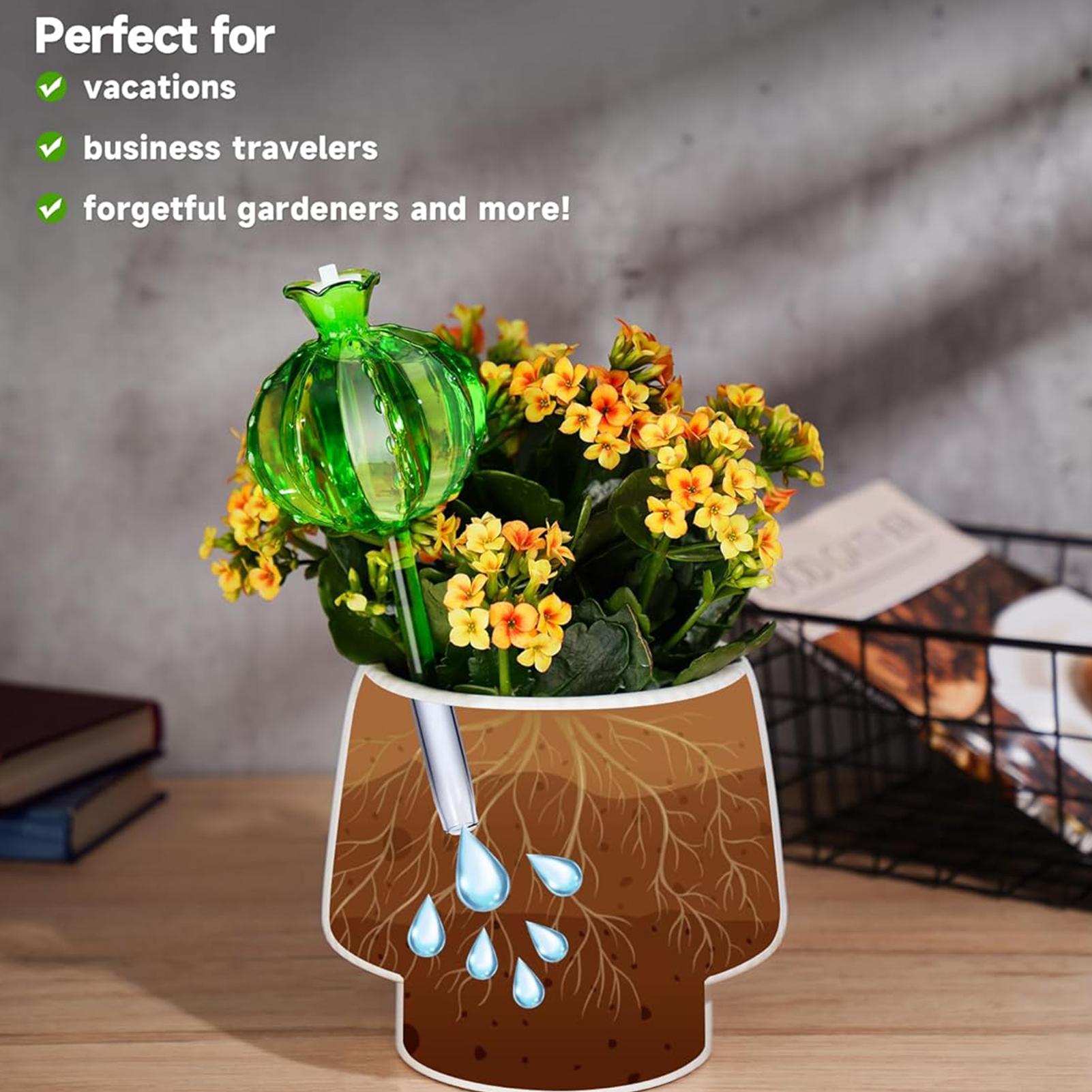 Plant Watering Stakes 3 Pieces - Self Watering Insert のレビューと価格