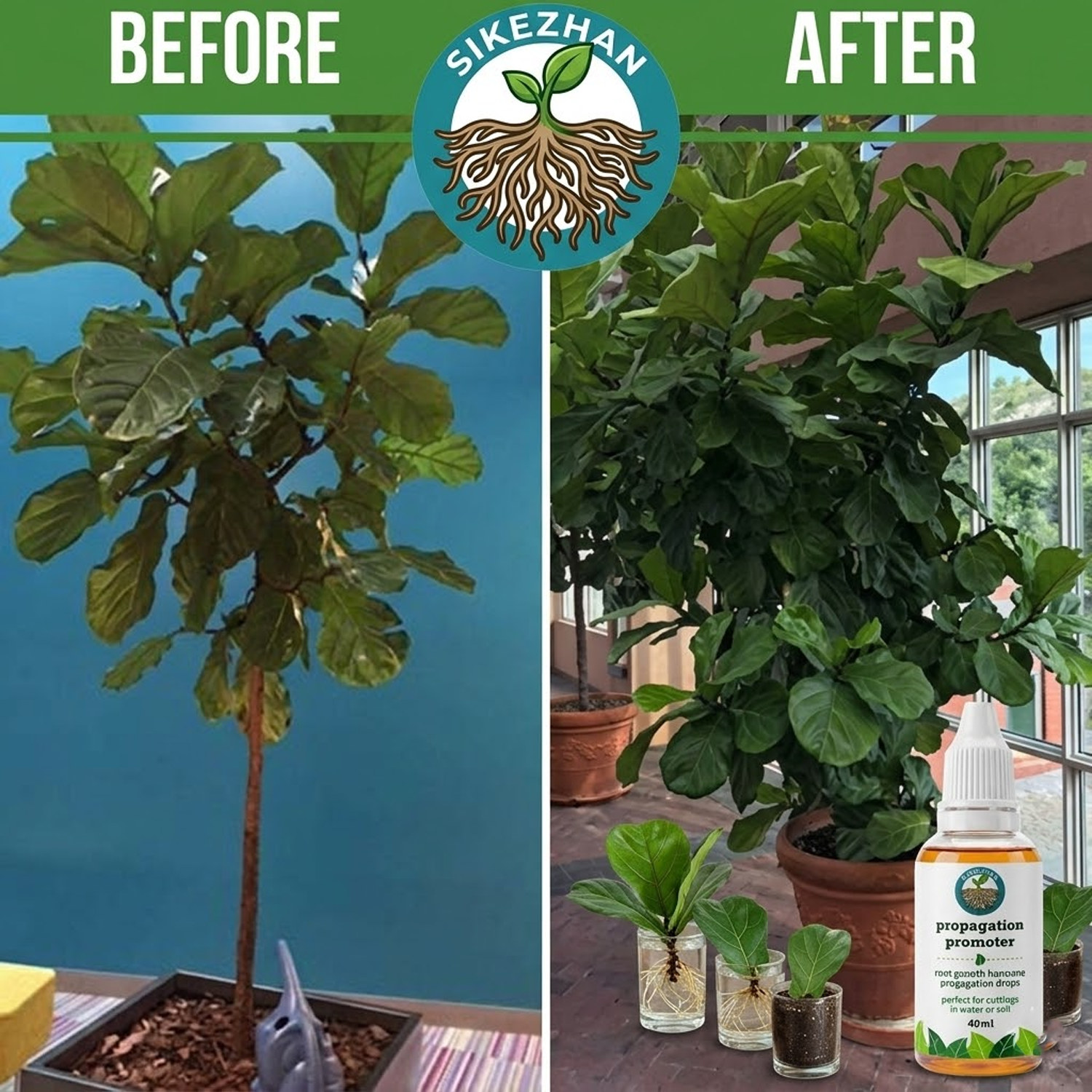 40ml Fast Plant Rooting Liquid - Root Stimulator Liquid のレビューと価格