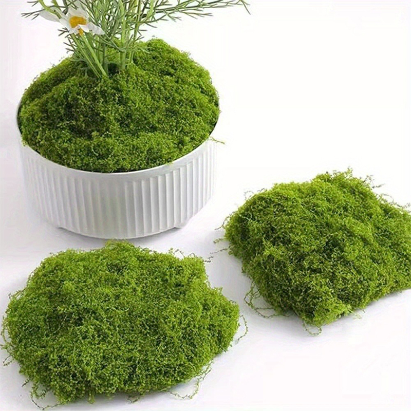 Green Fake Moss DIY Crafts Gra - Sphagnum Moss Dry のレビューと価格