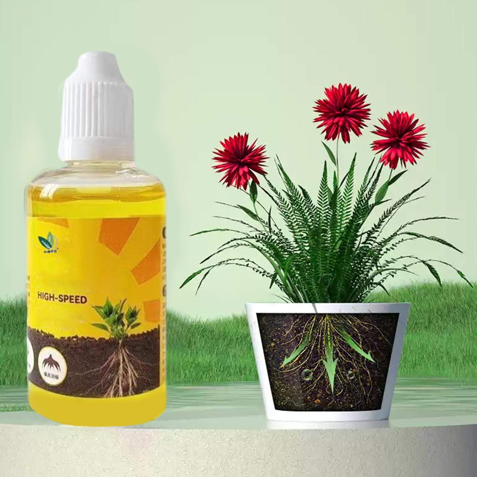 Plant Rapid Rooting Solution 5 - Root Stimulator Liquid のレビューと価格