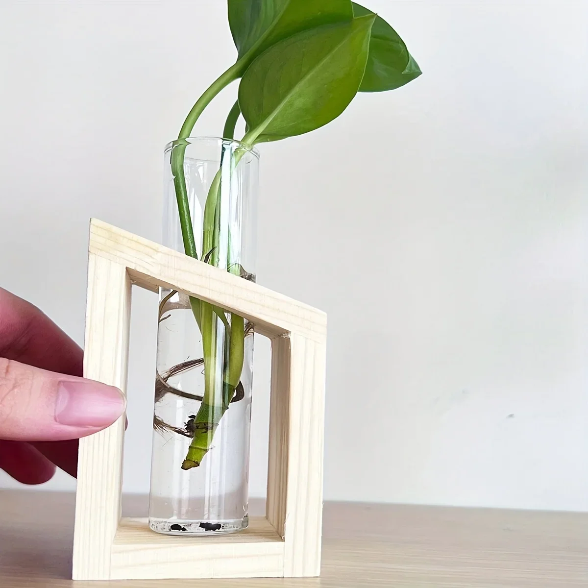 Test Tube Glass Vase Plant Pro - Propagation Station Vase のレビューと価格