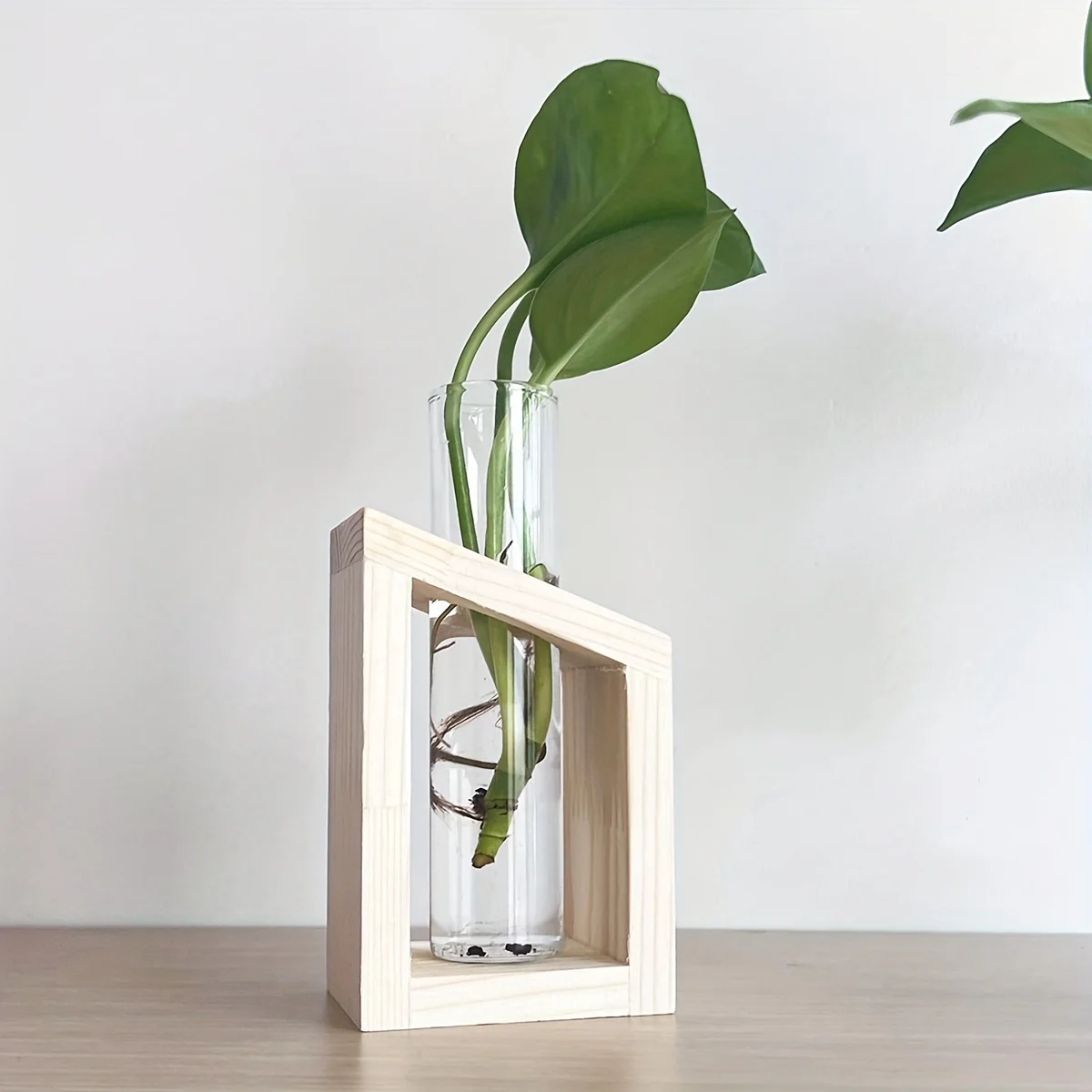 Test Tube Glass Vase Plant Pro - Propagation Station Vase のレビューと価格