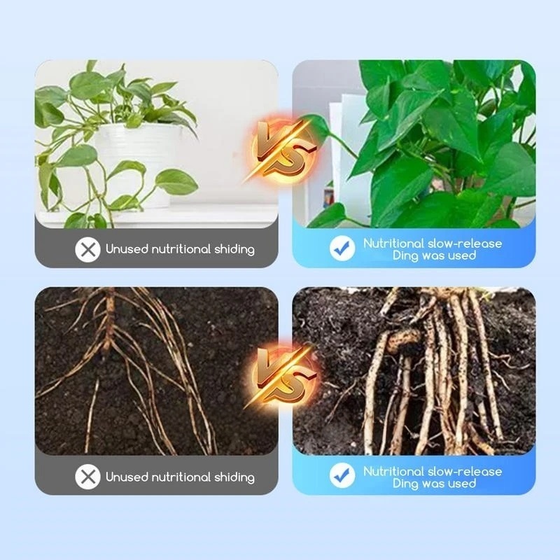 2bags Rooting Hormone Powder U - Rooting Hormone Powder のレビューと価格