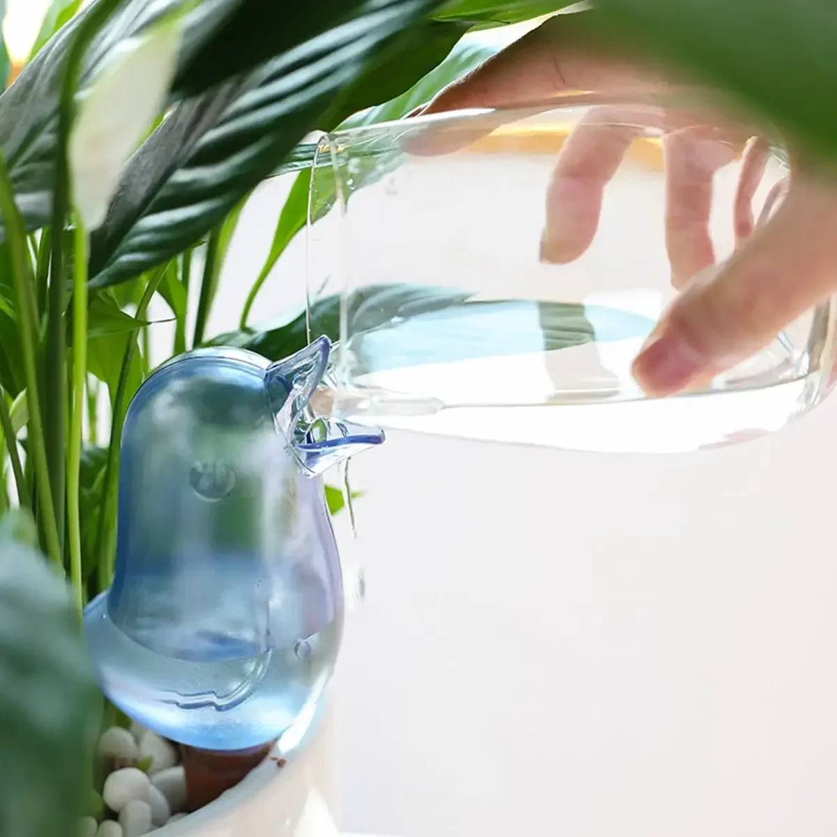 High quality automatic flower  - Self Watering Insert のレビューと価格