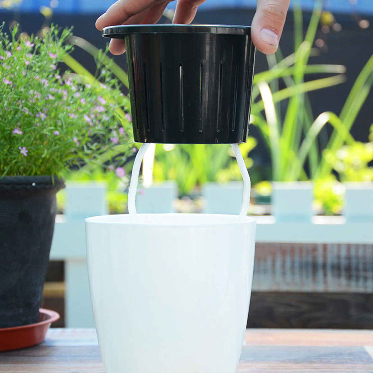 6/12Pcs Self-Watering Flower P - Self Watering Insert のレビューと価格