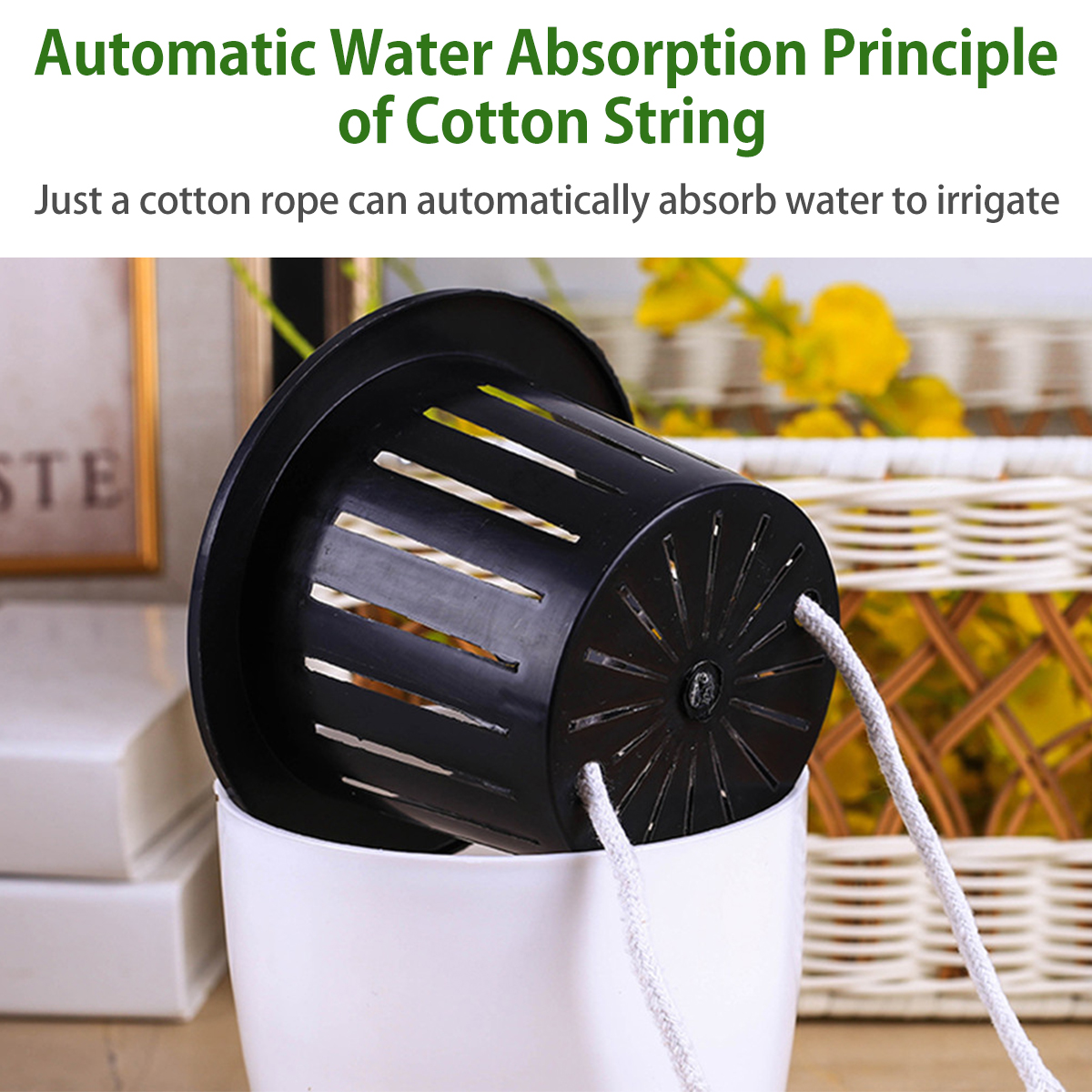6/12Pcs Self-Watering Flower P - Self Watering Insert のレビューと価格
